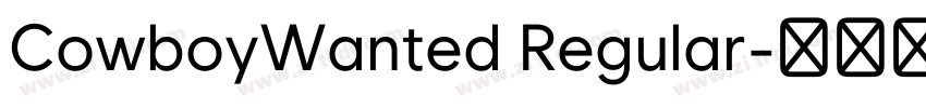 CowboyWanted Regular字体转换